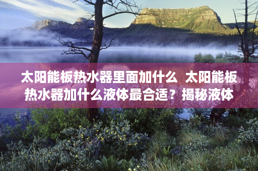太阳能板热水器里面加什么  太阳能板热水器加什么液体最合适？揭秘液体选择与安装技巧