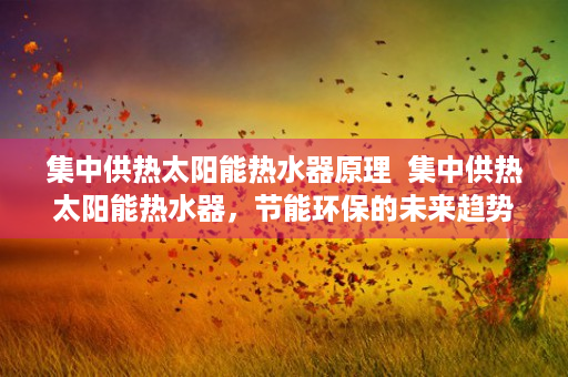 集中供热太阳能热水器原理  集中供热太阳能热水器，节能环保的未来趋势解析