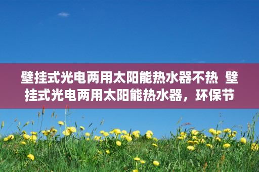 壁挂式光电两用太阳能热水器不热  壁挂式光电两用太阳能热水器，环保节能新选择，家居生活新风尚