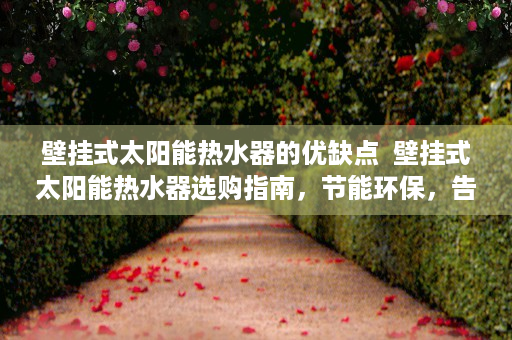 壁挂式太阳能热水器的优缺点  壁挂式太阳能热水器选购指南，节能环保，告别传统热水烦恼