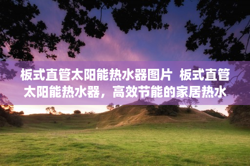 板式直管太阳能热水器图片  板式直管太阳能热水器，高效节能的家居热水解决方案