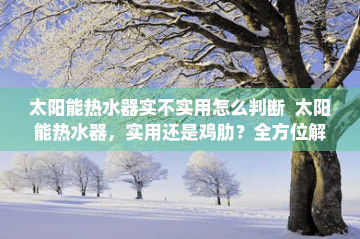 太阳能热水器实不实用怎么判断  太阳能热水器，实用还是鸡肋？全方位解析太阳能热水器的优缺点及选购指南