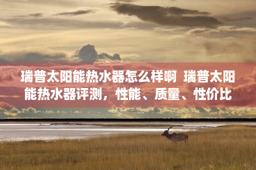 瑞普太阳能热水器怎么样啊  瑞普太阳能热水器评测，性能、质量、性价比全面分析