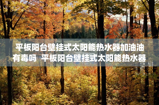 平板阳台壁挂式太阳能热水器加油油有毒吗  平板阳台壁挂式太阳能热水器，绿色节能的家居新选择