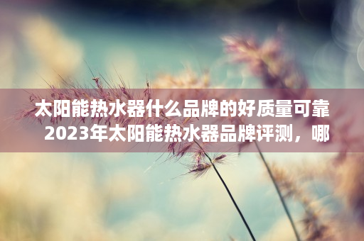 太阳能热水器什么品牌的好质量可靠  2023年太阳能热水器品牌评测，哪些品牌值得信赖？