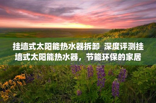 挂墙式太阳能热水器拆卸  深度评测挂墙式太阳能热水器，节能环保的家居好帮手，安装使用指南全解析