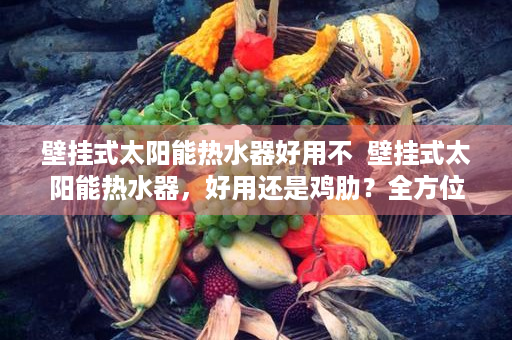 壁挂式太阳能热水器好用不  壁挂式太阳能热水器，好用还是鸡肋？全方位评测告诉你真相！