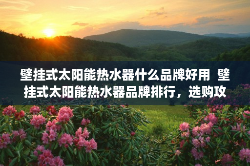 壁挂式太阳能热水器什么品牌好用  壁挂式太阳能热水器品牌排行，选购攻略及热门品牌推荐